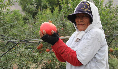 El Carmen Santa Cruz Palpa - Granada
