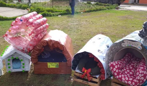 Docentes y alumnos promovieron proyecto de sensibilización. Foto: Maribel Cabrera Niños elaboraron casitas recicladas para perritos abandonados en Puno