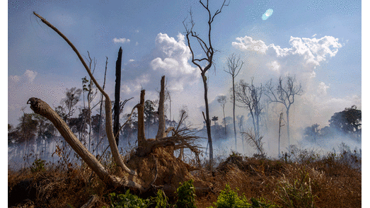 Incendio Amazonas