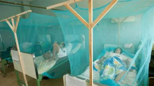  Confirman 110 casos de dengue en región Piura