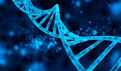 Coronavirus: descubren secuencia genética del virus que llegó a México