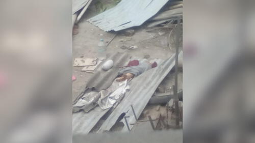 Acusan a sujeto de recoger perros de la calle, torturarlos y dejarlos morir en su azotea [VIDEO]