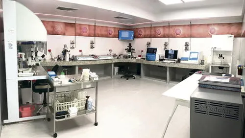 Procedimiento en laboratorio.