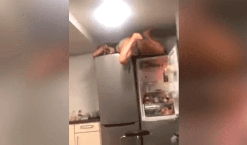 YouTube: Mujer ebria intentó subirse a un refrigerador pero todo le sale mal [VIDEO]