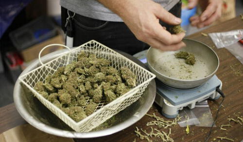 Universidad ofrece curso para aprender a cultivar marihuana