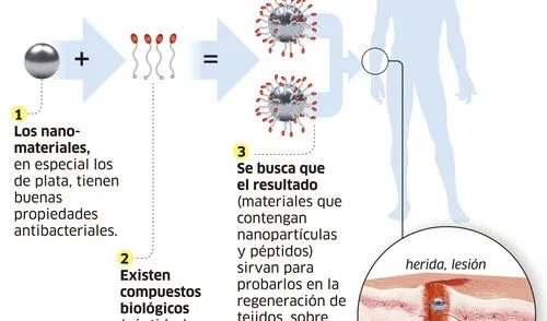 Nanoparticulas para la regeneración de tejidos [INFOGRAFÍA]
