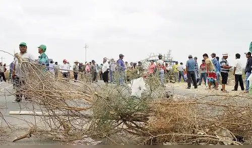 Piura: productores de mango de valle San Lorenzo levantaron paro Piura: productores de mango de valle San Lorenzo levantaron paro