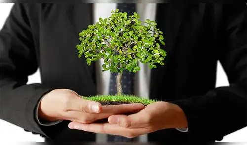 Profesionales comprometidos con el medio ambiente Profesionales comprometidos con el medio ambiente