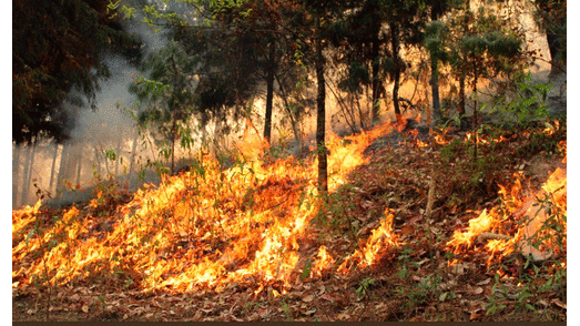 incendio brasil 2 incendio brasil 2