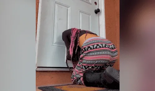 Desliza para ver todas las imágenes de Facebook. Foto: captura puerta para mascotas perros joven