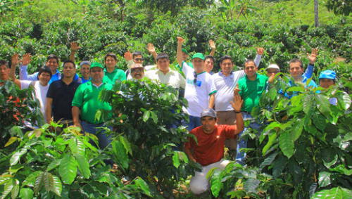 Huánuco: Inician proyecto de cosecha y poscosecha de café a favor de 500 familias