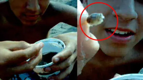 YouTube: Joven come 'muy muys' vivos y la cara que pone al masticarlos te dejará sin aliento 