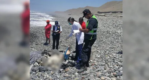Tacna: Pescador fue hallado muerto luego de estar 13 días desaparecido Tacna: Pescador fue hallado muerto luego de estar 13 días desaparecido