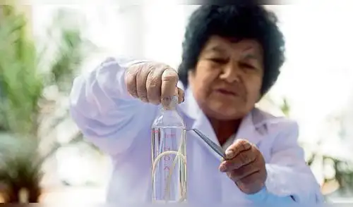 El 40% de niños entre 2 y 5 años están en riesgo de sufrir anemia por parásitos