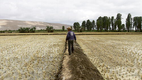 Especialistas señalan que región Arequipa tendrá cinco años de sequía 