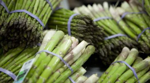 Mincetur anuncia doce nuevos productos con potencial exportador en Lima