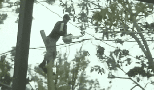 YouTube: Hombre se cortó el cuello con motosierra cuando limpiaba restos de huracán Irma