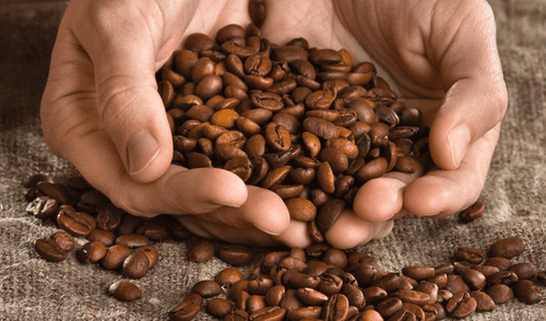 El público de LIma tenrá la oportunidad de degustar el mejor café de Villa Rica.