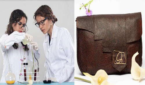 Arequipeñas consiguen premio internacional con emprendimiento de biocuero