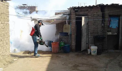 Trujillo: fumigan 600 viviendas en centro poblado El Milagro