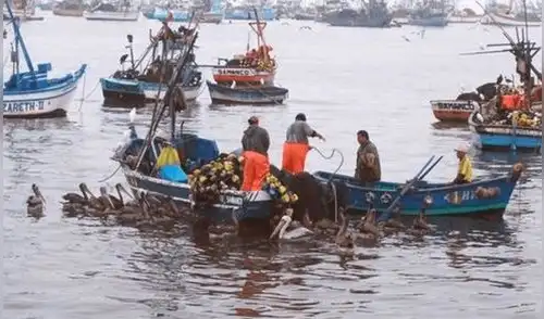 Produce destina más de 4 millones de soles para enfrentar la pesca ilegal Produce destina más de 4 millones de soles para enfrentar la pesca ilegal