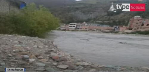 Derrame ocasionó muerte de la fauna silvestre. Foto: captura de TV Perú