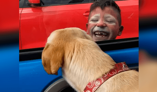 Facebook: perro rescatado y 'niño payasito' protagonizan tiernas imágenes que se volvieron virales
