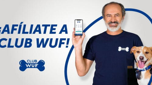 'Club WUF': app peruana busca mejorar calidad de vida de perros sin hogar en el país 'Club WUF': app peruana busca mejorar calidad de vida de perros sin hogar en el país