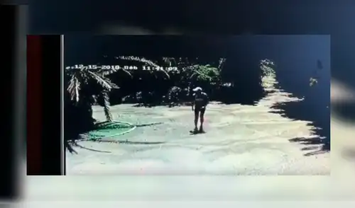 Youtube viral: Intenta entrar a una casa sin permiso y perros le dan una dura lección [VIDEO]