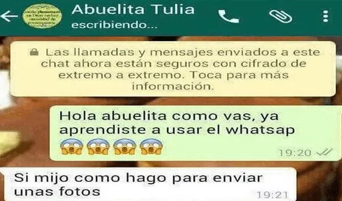 Vía WhatsApp: su abuela aprende a mandar fotos y esto fue lo primero que envió