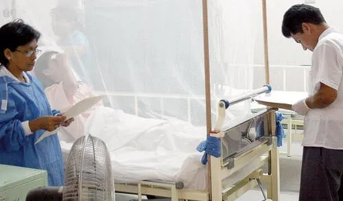 Confirman tres muertes por dengue en Cusco