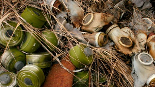 Chernobyl: ¿Cómo se encuentra el territorio donde ocurrió el peor accidente nuclear de la historia?