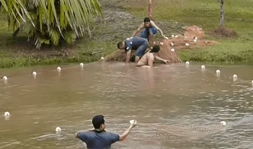 YouTube viral: Entran a pescar y quedan en shock al ver extrañas criaturas en su red [VIDEO]