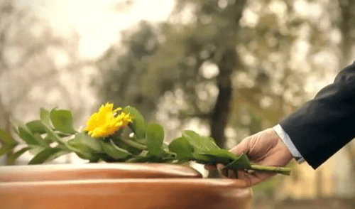 Aquamación, la nueva práctica funeraria ecológica