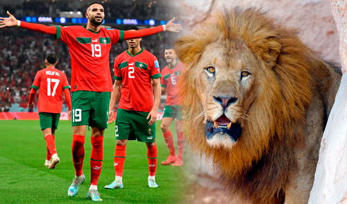 ¿Por qué la selección de Marruecos es conocida como los Leones del Atlas?