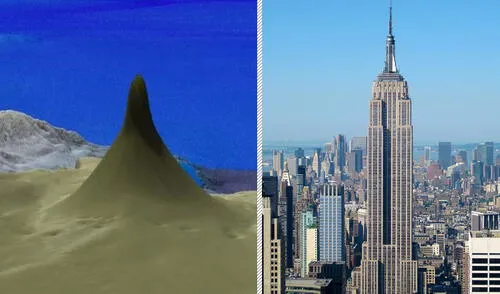 El nuevo arrecife es más alto que el Empire State y las Torres Gemelas Petronas de Malasia | Foto: Composición LR / Schmidt Ocean Institute / Jiuguang Wang