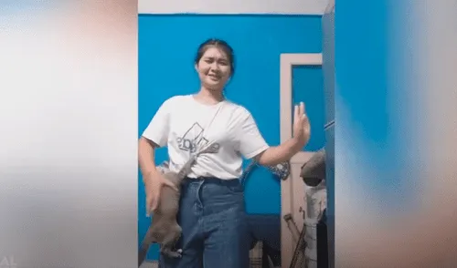 TikTok viral: Gatos interrumpen la rutina de baile de su dueña y protagonizan graciosa escena [VIDEO]