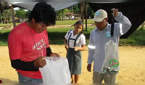 Matsiguengas recogen más de 3 toneladas de pilas en la selva de Cusco