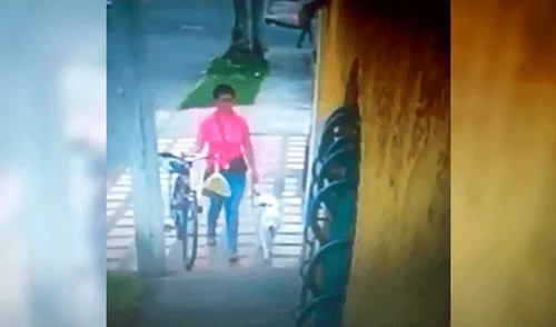 Facebook: Indignación por mujer que abandona a perro en plena calle Facebook: Indignación por mujer que abandona a perro en plena calle