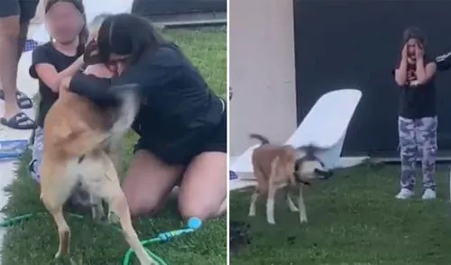 Niñas se reencuentran con su perro que estuvo perdido dos meses y protagonizan emotiva escena [VIDEO]