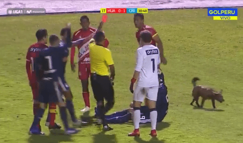 Sporting Cristal: Emanuel Herrera salió expulsado y no jugará ante Alianza Lima [VIDEO]