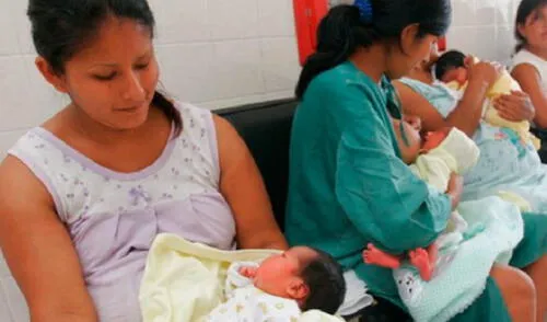 EsSalud: estos son los pasos para tramitar el subsidio por lactancia a través de la web