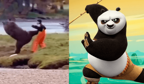 Facebook: se enfrentó a oso y este lo sorprendió con técnicas de Kung-fu [VIDEO]