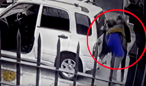 YouTube viral: Perros ven que su dueño es asaltado con pistola y lo rescatan valerosamente [VIDEO] 