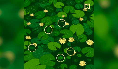 Debes hallas dos libélulas, dos ranas y un pez. Foto: Noticieros Televisa/Facebook ¿Puedes ver los cinco animales ocultos en la imagen? El nuevo reto visual que pocos superan