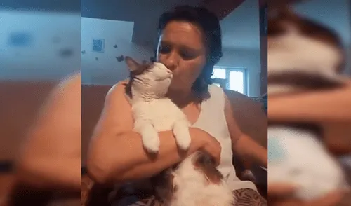 Facebook: señora encuentra a gato callejero, lo cuida y este se lo agradece con tierno beso [VIDEO] 