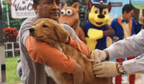 Campaña de vacunación contra la rabia se realizará en 17 regiones este 28 y 29 de setiembre. Foto: Difusión