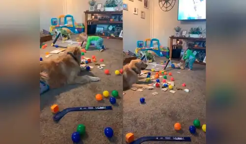 Desliza las imágenes para ver la curiosa escena que registró una madre entre su hijo y su fiel mascota. Foto: Captura de YouTube/ Storyful Rights Management