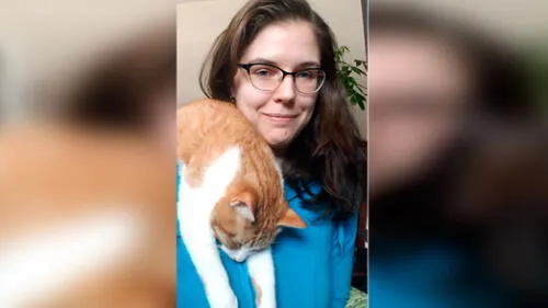 Desliza las imágenes para ver el momento exacto en que este curioso gato se durmió por intentar acompañar a su dueña. Foto: ViralHog