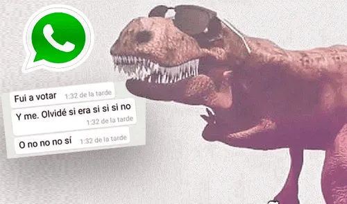 WhatsApp: peruana reveló que gracias al remix 'Cállese viejo lesbiano' supo cómo votar en el referéndum [FOTOS]